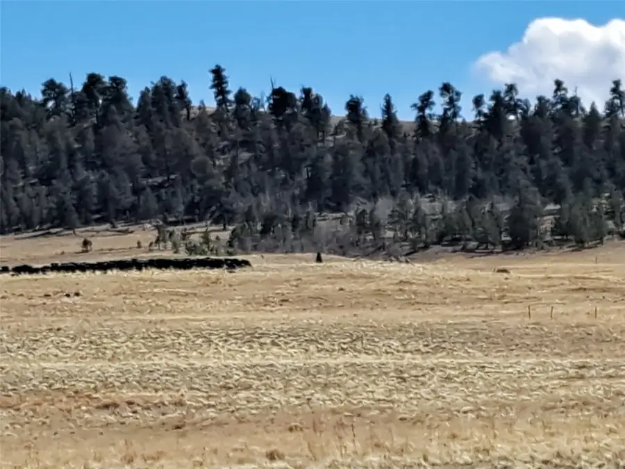 00 Cochiti Road, Hartsel, CO 80449 - Image #2
