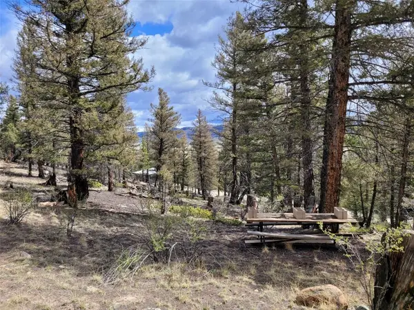 1787 Redhill Road, Fairplay, CO 80440