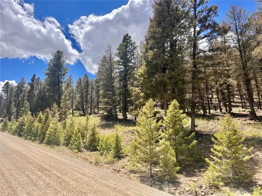 3015 Redhill Road, Fairplay, CO 80440 - Image #2