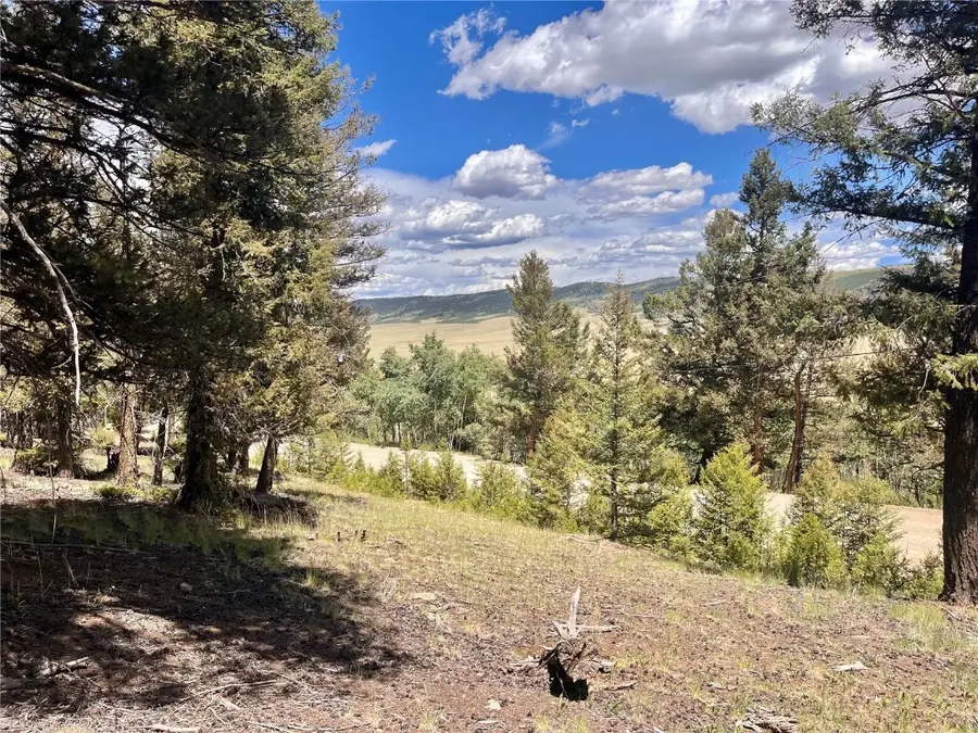 3015 Redhill Road, Fairplay, CO 80440 - Image #3