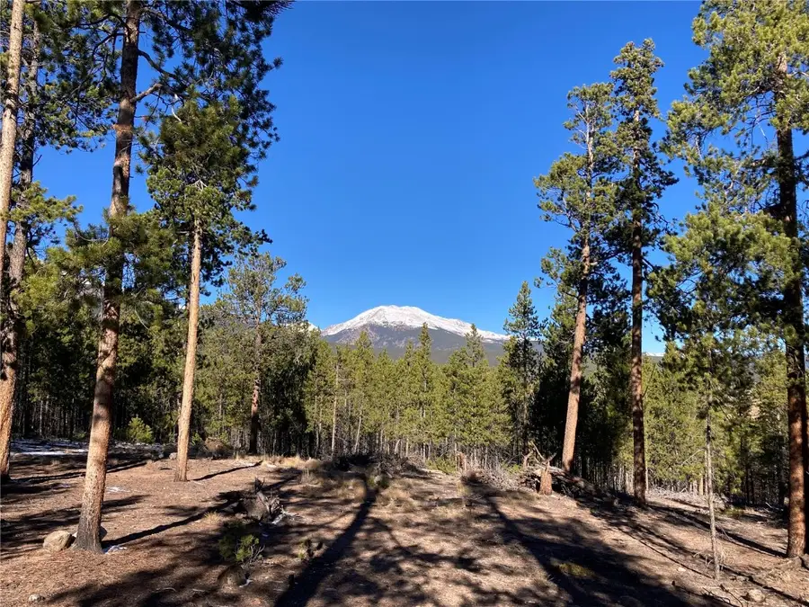 758 Spruce Drive, Leadville, CO 80461 - Image #2