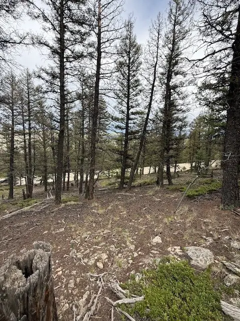 2689 Redhill Road, Fairplay, CO 80440 - Image #2