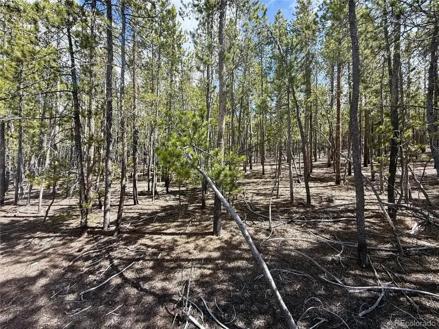 1127 Sequoia Drive, Leadville, CO 80461 - Image #2