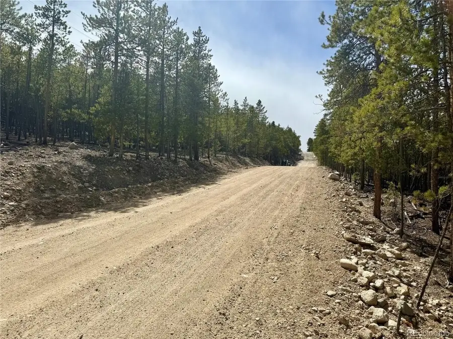 1127 Sequoia Drive, Leadville, CO 80461 - Image #3