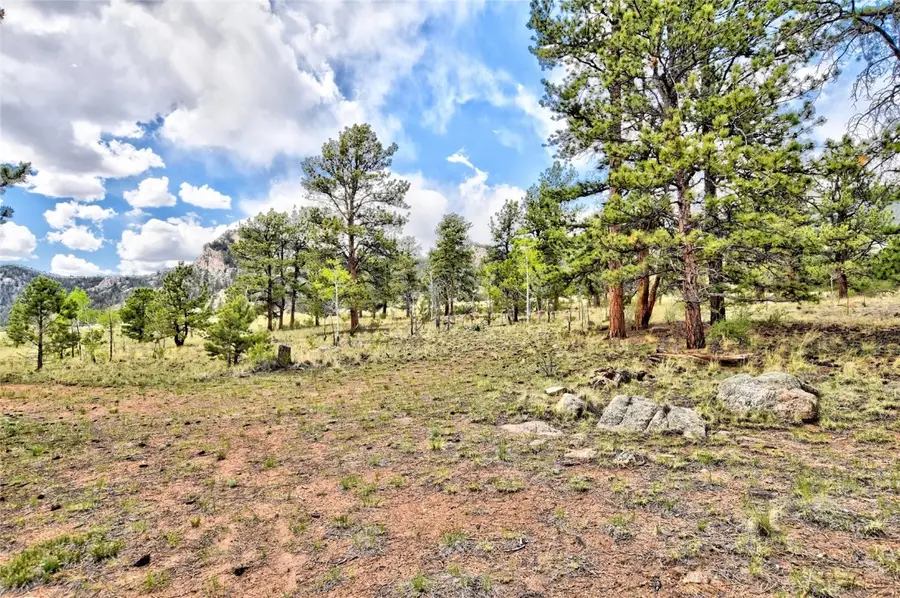 490 Teller Street, Lake George, CO 80827 - Image #3