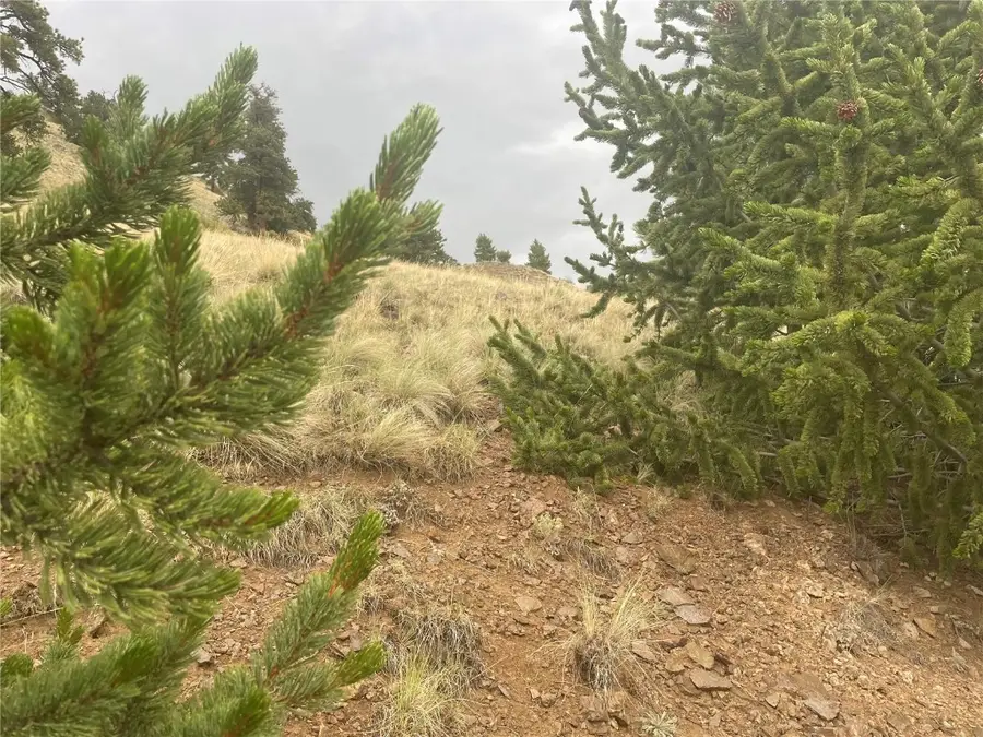 901 Elkhorn View Drive, Como, CO 80432 - Image #2