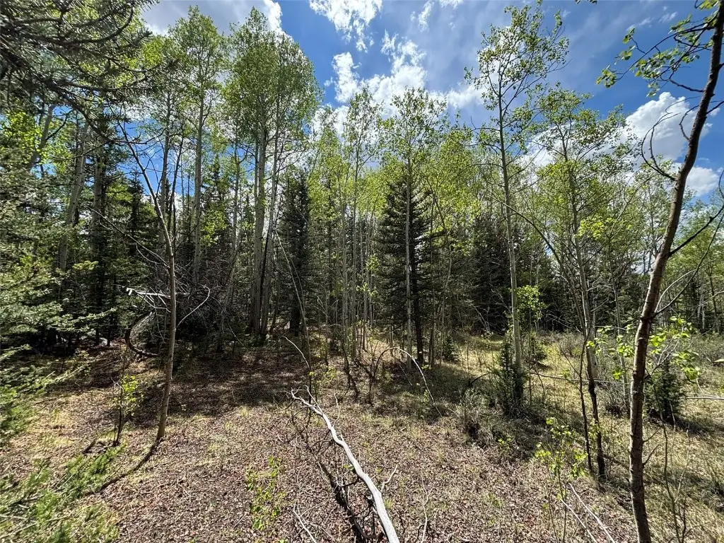 113 Ithaca Lane, Como, CO 80432 - Image #1