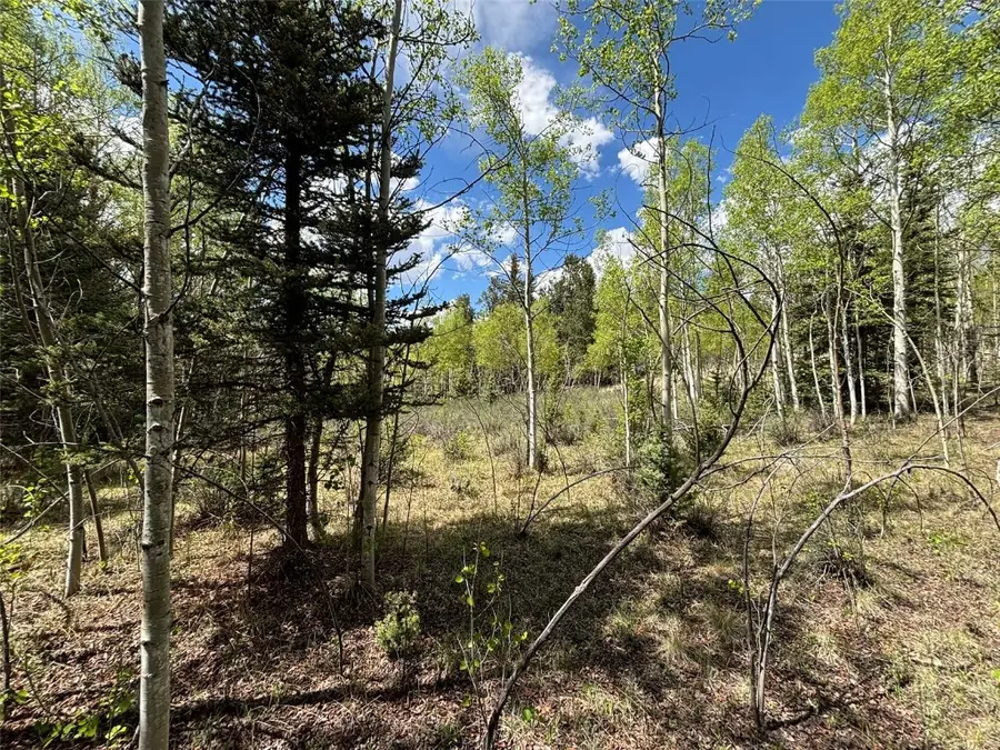 113 Ithaca Lane, Como, CO 80432 - Image #3