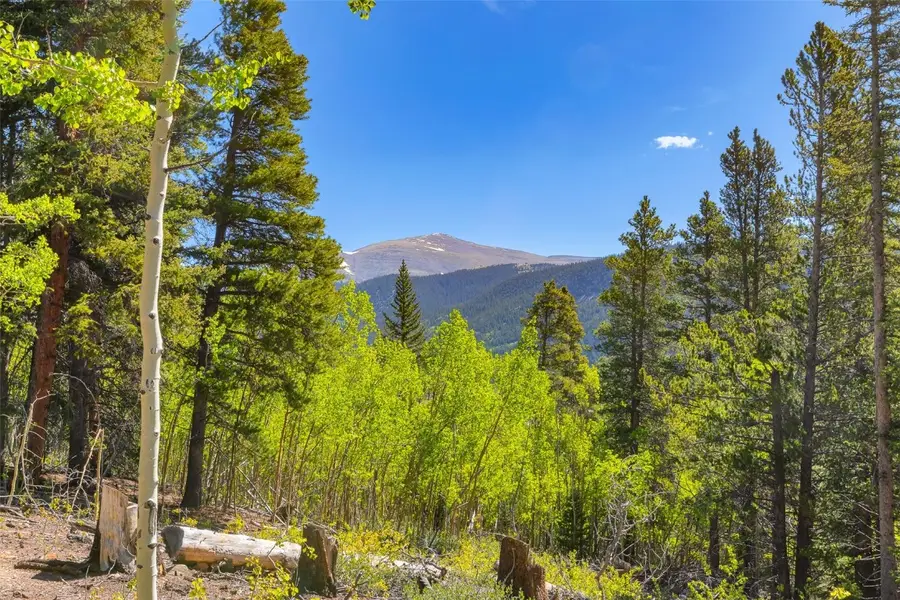 715 Lewsader Road, Alma, CO 80420 - Image #3