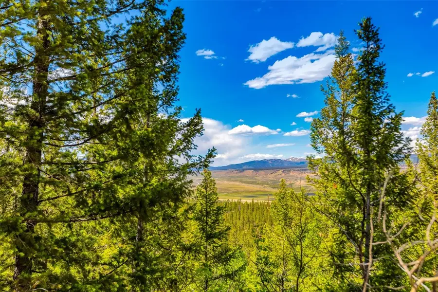 198 Mt Elbert Road, Twin Lakes, CO 81251 - Image #3