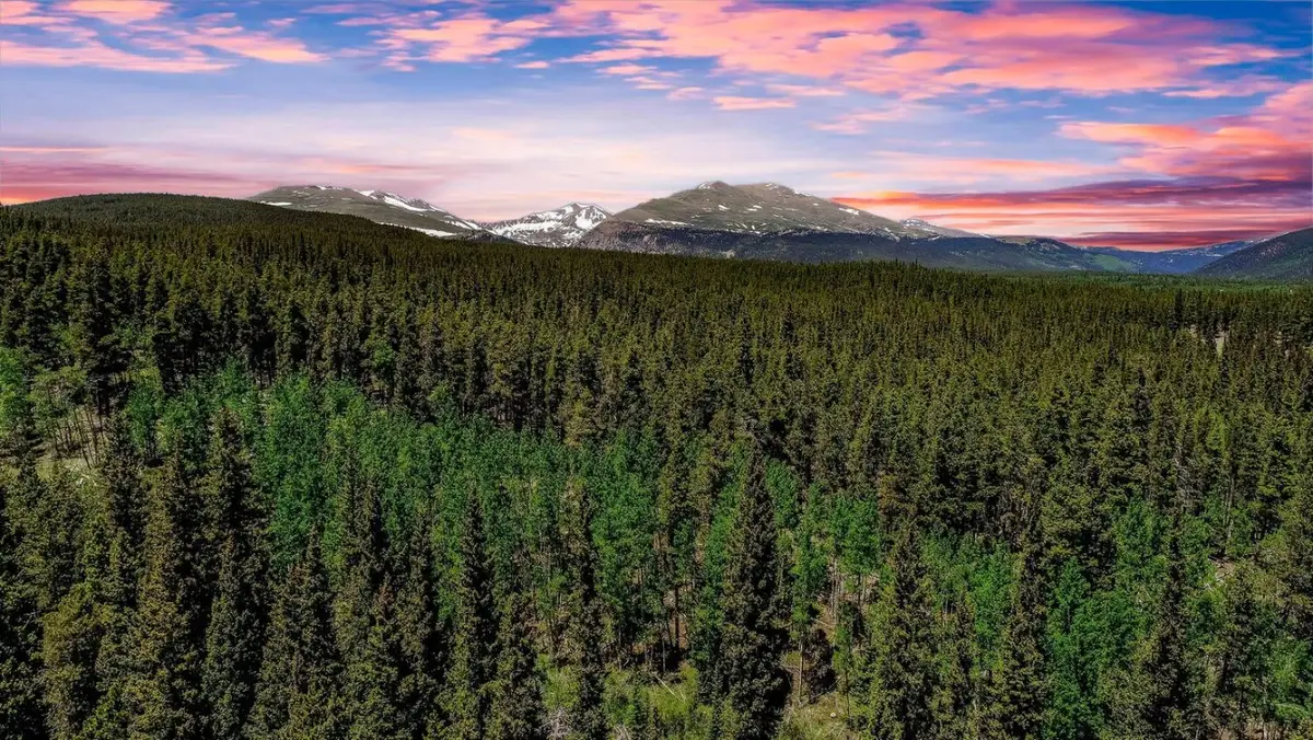 4100 Co Rd 1, Fairplay, CO 80440 - Image #1