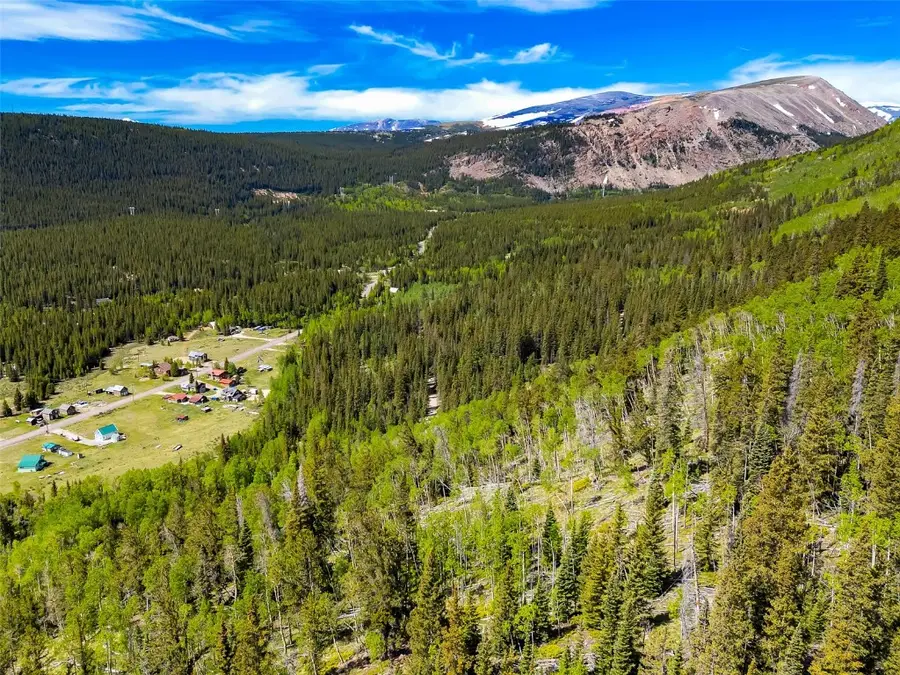 270 Co Rd 667, Alma, CO 80420 - Image #3