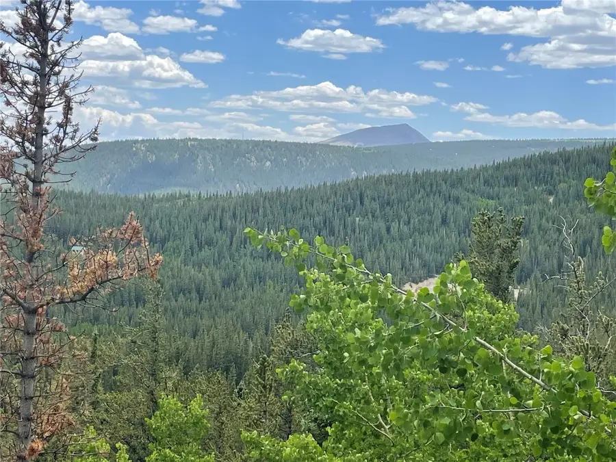 847 County Road 787, Alma, CO 80420 - #2