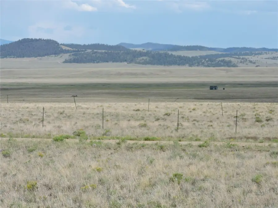 173 Routt Road, Hartsel, CO 80449 - Image #3