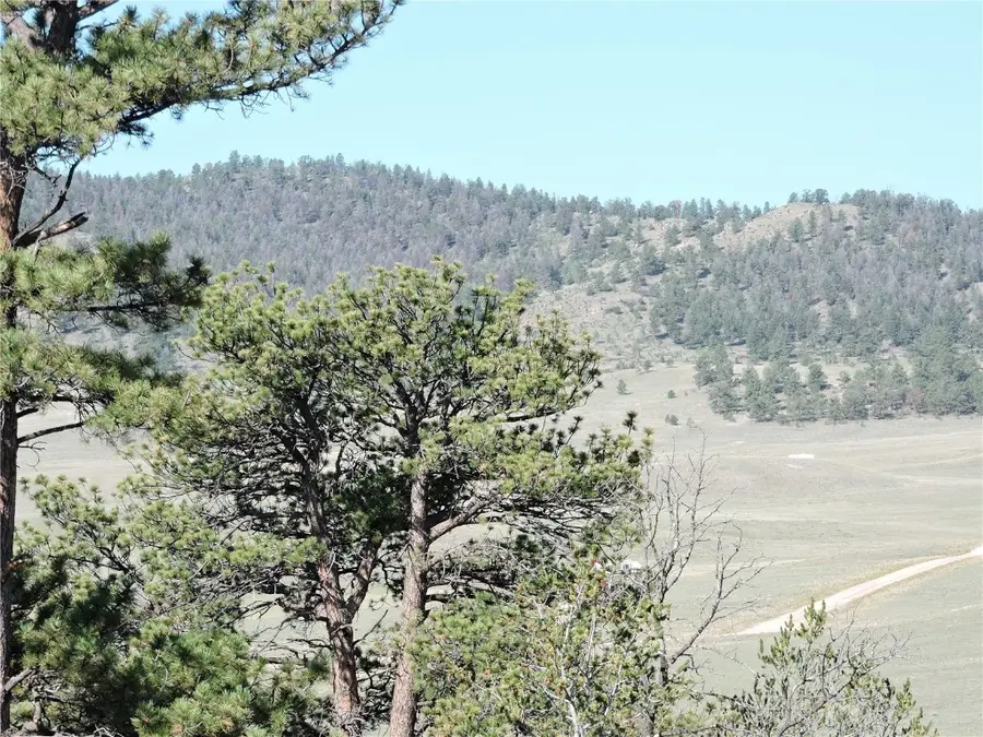 640 Arapaho Trail, Hartsel, CO 80449 - Image #3