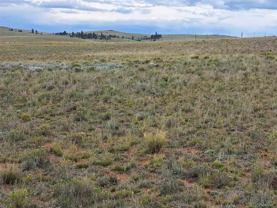 00000 Kiowa Road, Hartsel, CO 80449 - #2