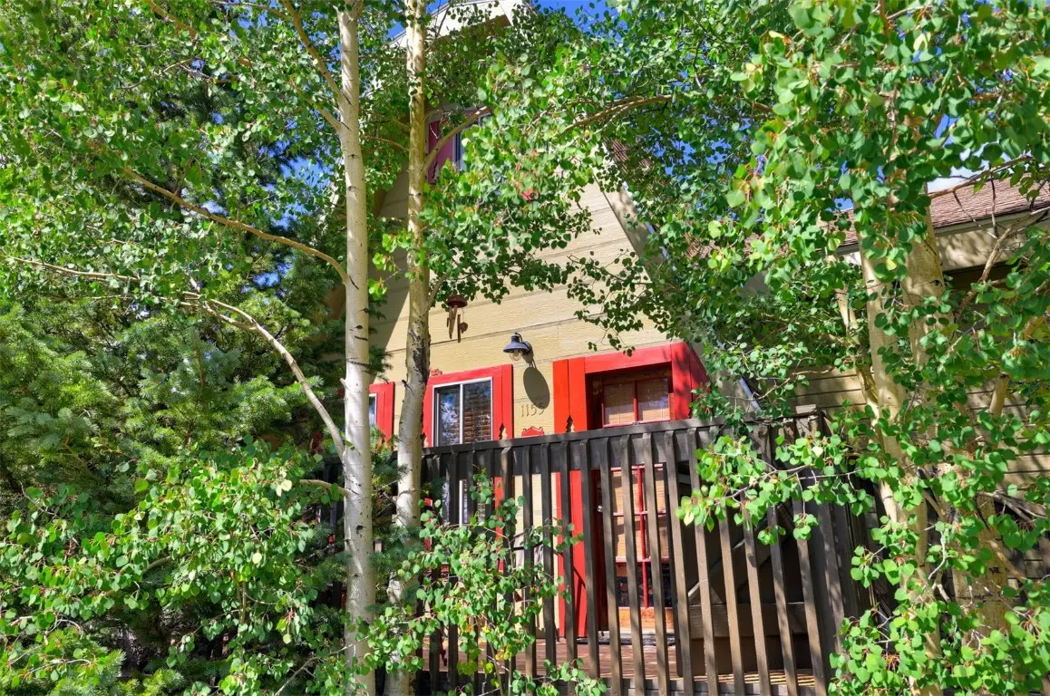 1155 County Road 6, Alma, CO 80420 - Image #1