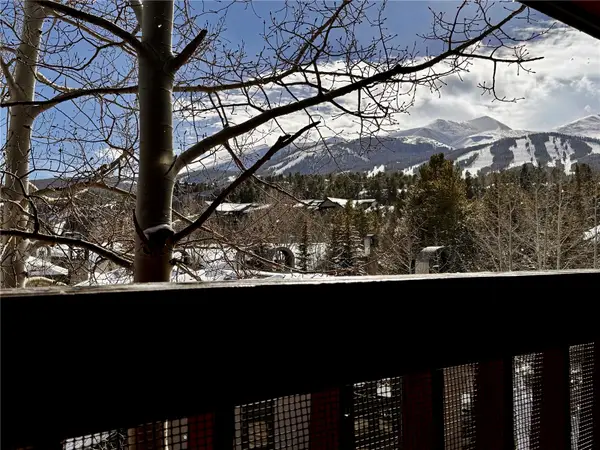 305 S Park Avenue #402, Breckenridge, CO 80424