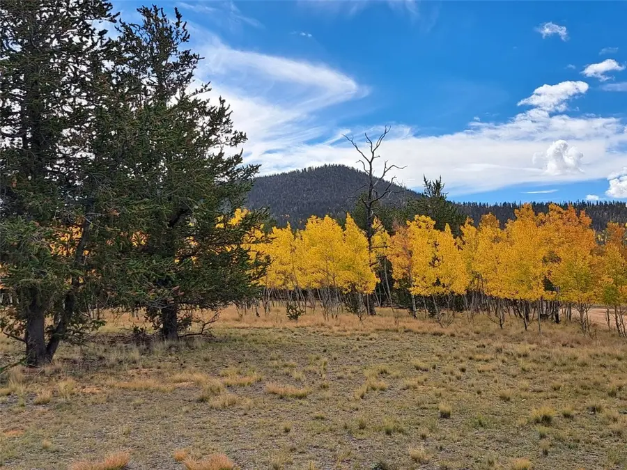 1403 Wampum Lane, Como, CO 80432 - Image #2