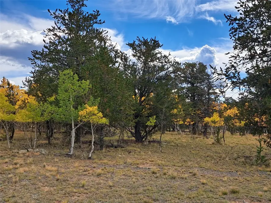 1403 Wampum Lane, Como, CO 80432 - Image #3