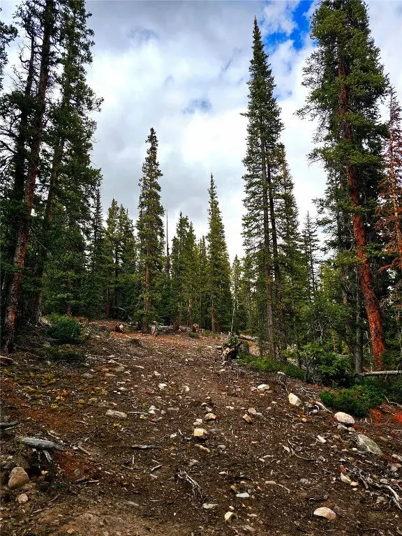 387 El Lobo Lane, Fairplay, CO 80440 - Image #2