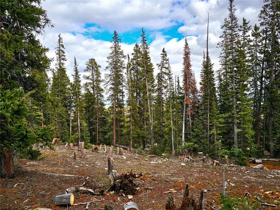 387 El Lobo Lane, Fairplay, CO 80440 - Image #3