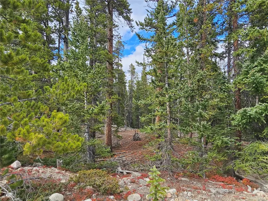 100 Miner's Way, Fairplay, CO 80440 - Image #2