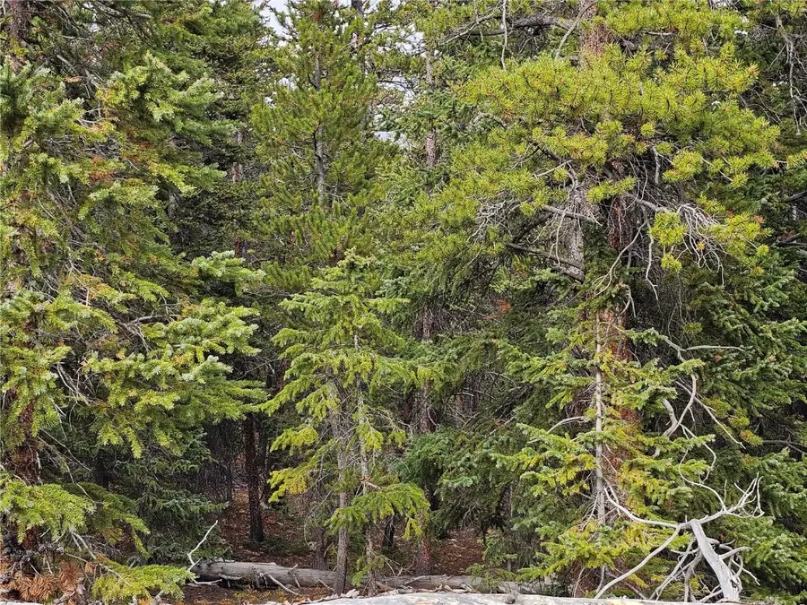 100 Miner's Way, Fairplay, CO 80440 - Image #3