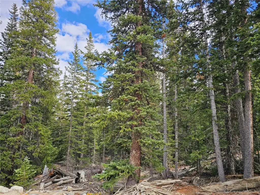 617 Gold Trail Circle, Fairplay, CO 80440 - Image #1