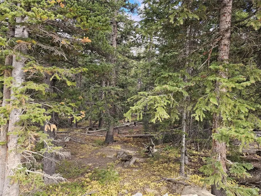 617 Gold Trail Circle, Fairplay, CO 80440 - Image #2