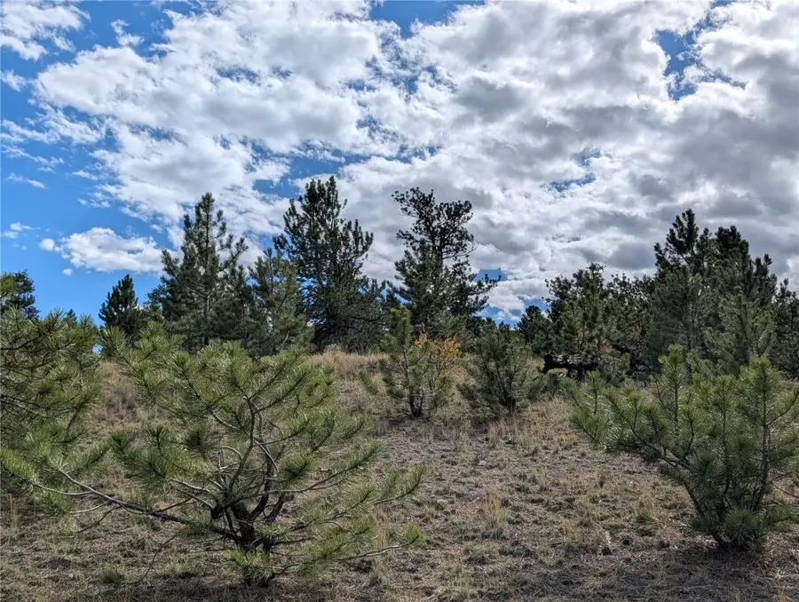 0 Tonkawa Road, Hartsel, CO 80449 - Image #2