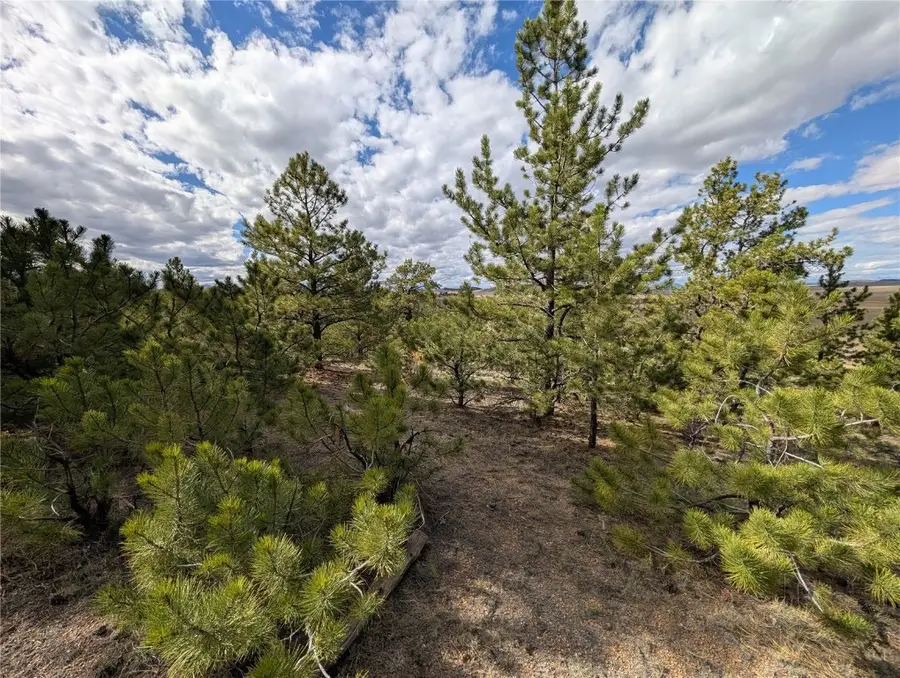 0 Tonkawa Road, Hartsel, CO 80449 - Image #3