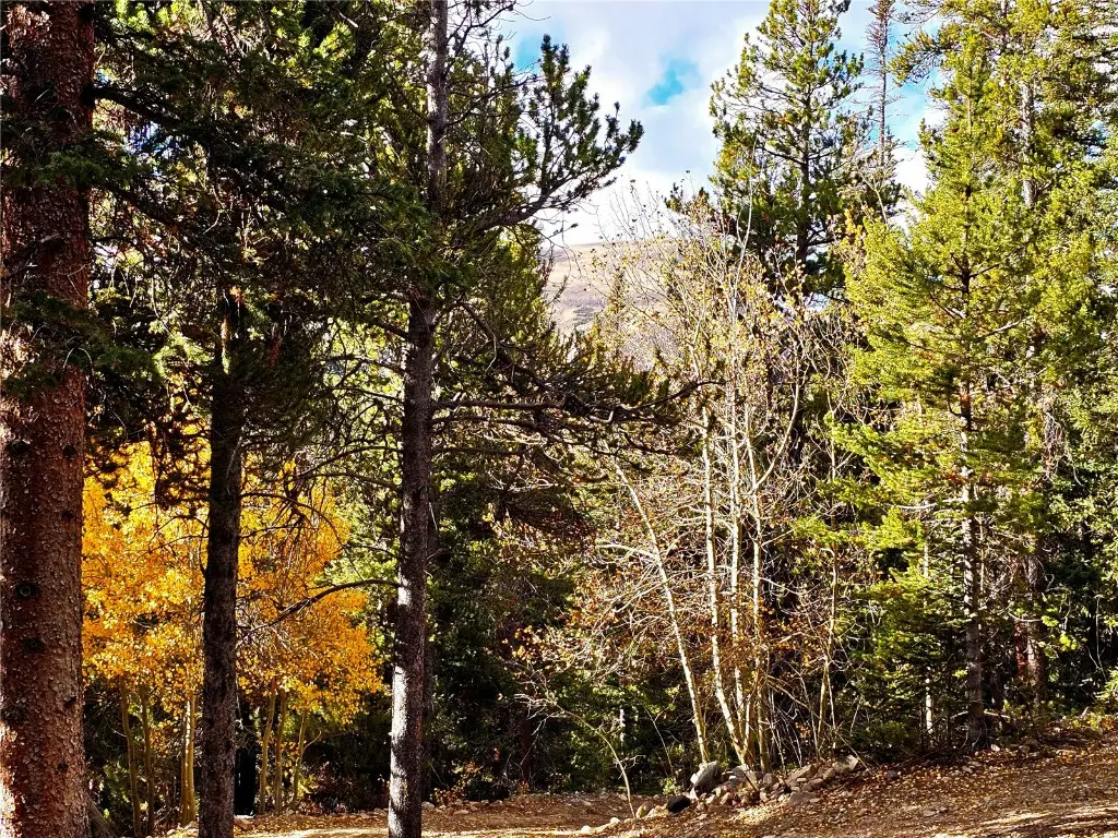 102 Gold Trail, Fairplay, CO 80440 - Image #1