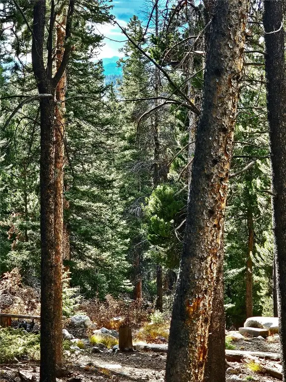 102 Gold Trail, Fairplay, CO 80440 - Image #3