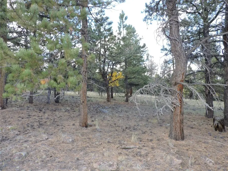 5113 Campfire Road, Hartsel, CO 80449 - Image #3
