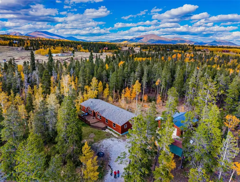 133 Foxtail Court, Fairplay, CO 80440 - Image #1