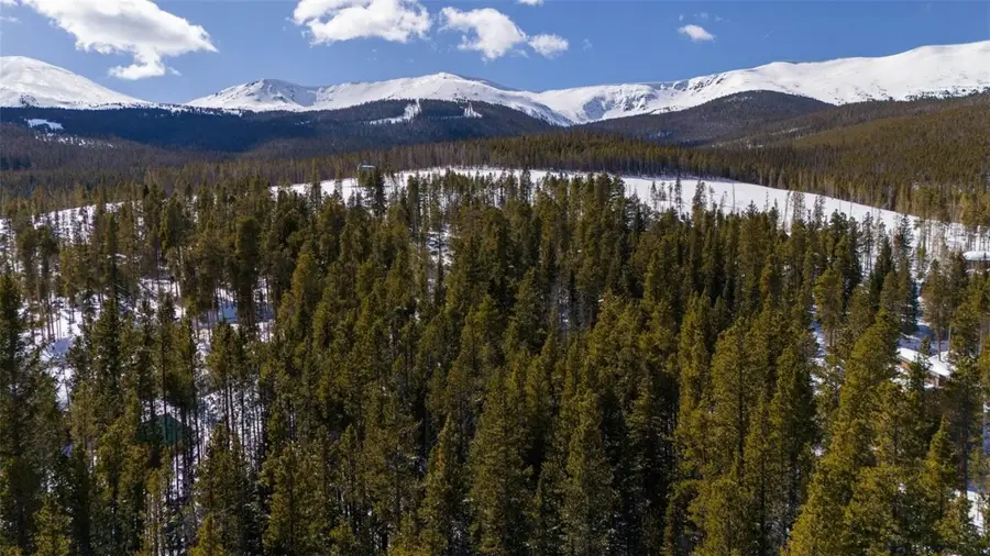 282 Slalom Dr Drive, Breckenridge, CO 80424 - #3