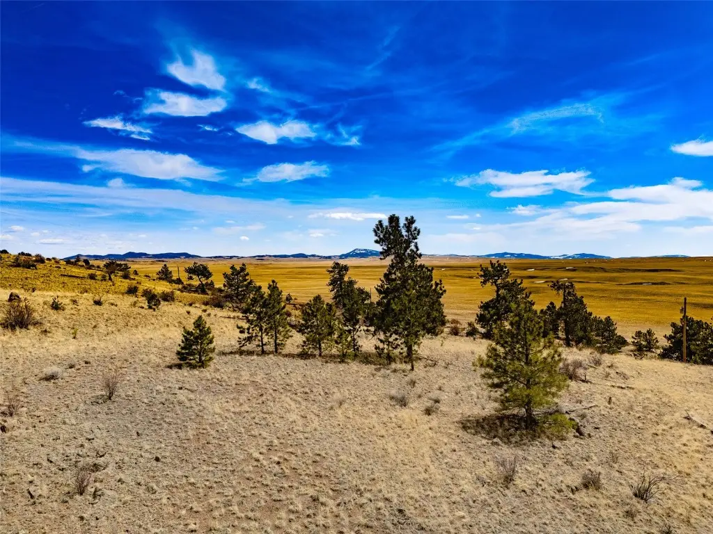 102 Pack Saddle Court, Lake George, CO 80449 - Image #1