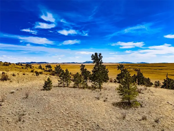 102 Pack Saddle Court, Fairplay, CO 80449