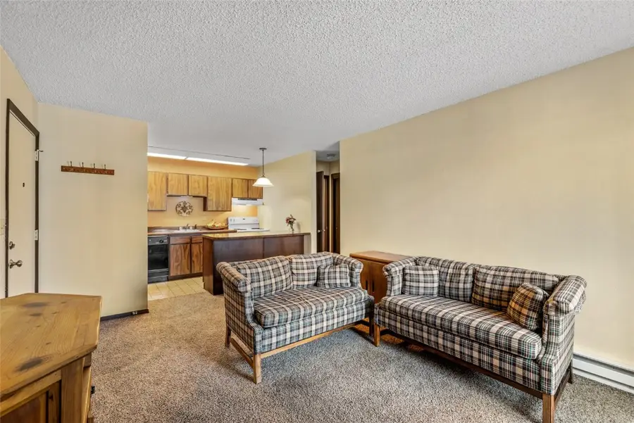 1380 Athens Plaza #2, Steamboat Springs, CO 80487 - Image #3