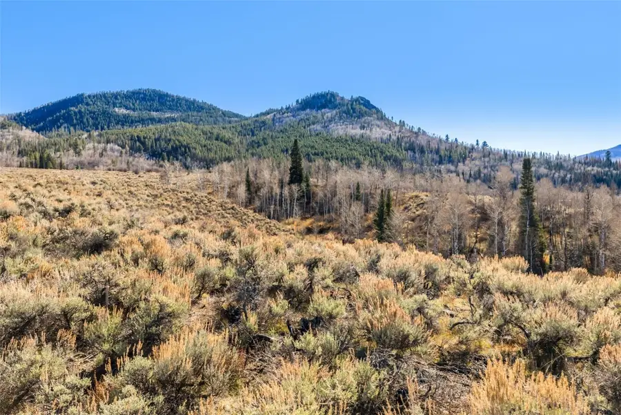 31715 Shoshone Way, Oak Creek, CO 80467 - Image #2