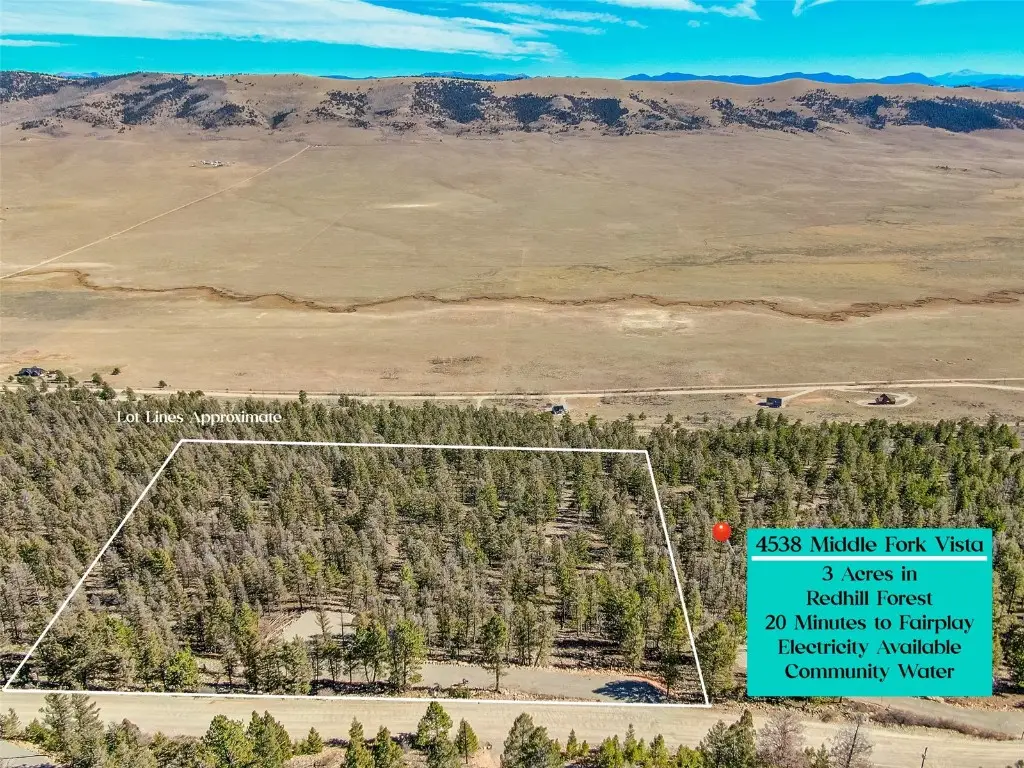 4538 Middle Fork, Fairplay, CO 80440 - Image #1