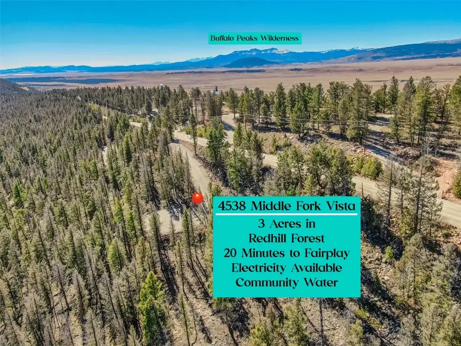 4538 Middle Fork, Fairplay, CO 80440 - Image #2