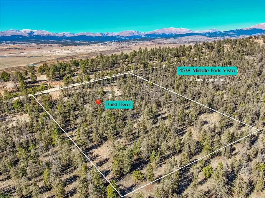 4538 Middle Fork, Fairplay, CO 80440 - Image #3
