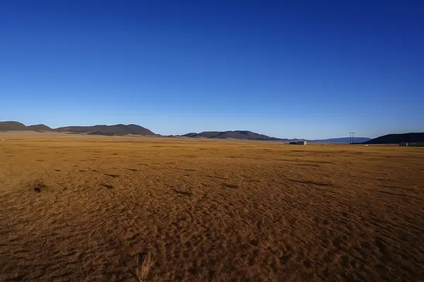 6870 Larimer Road, Hartsel, CO 80449