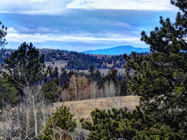 82 Ignacio Way, Como, CO 80432