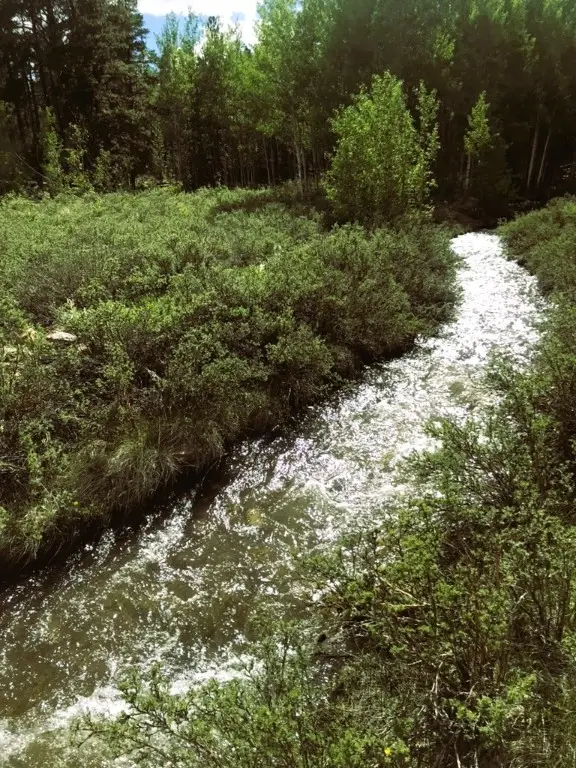 542 Thickspike Road, Fairplay, CO 80440 - Image #1