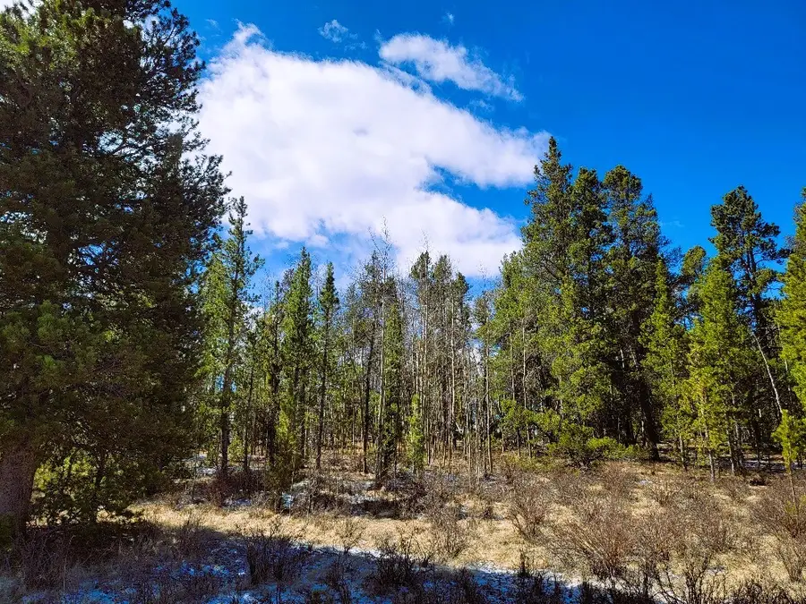 542 Thickspike Road, Fairplay, CO 80440 - Image #2