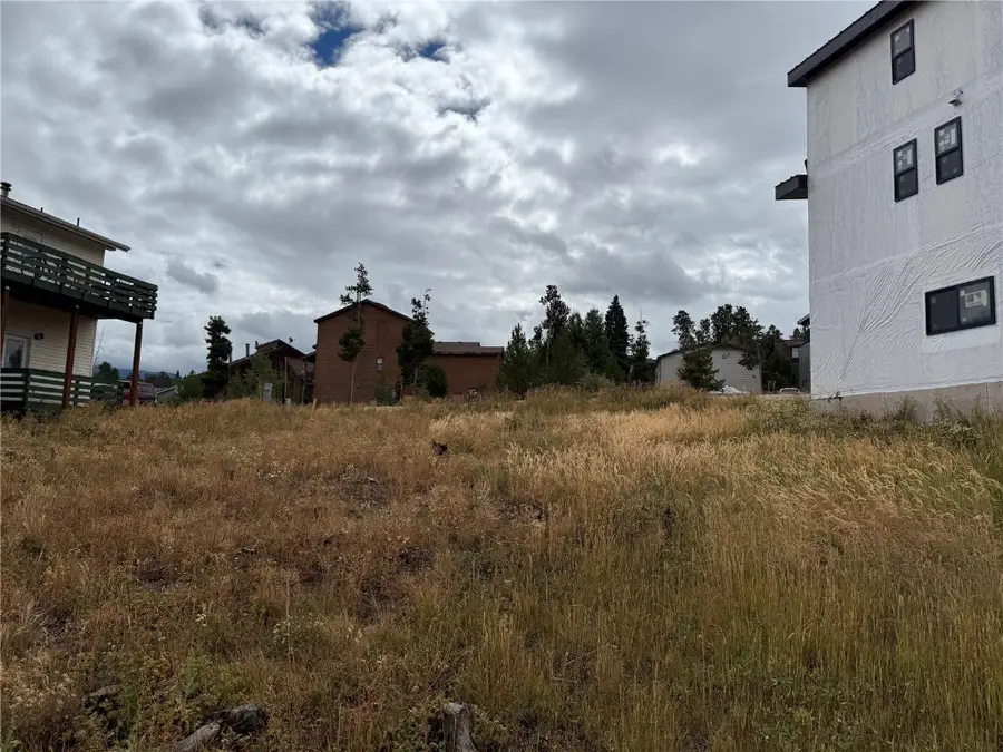 816 Wapiti Drive, Fraser, CO 80442 - Image #3