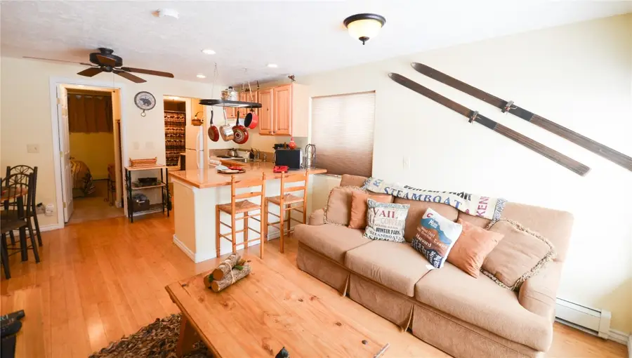 414 Tenderfoot Street #1A, Dillon, CO 80435 - Image #3